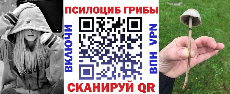 Купить где  Киреевск  Галлюциногенные грибы Psilocybine cubensis 